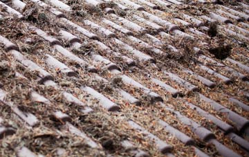 Stonebroom roof cleaning companies